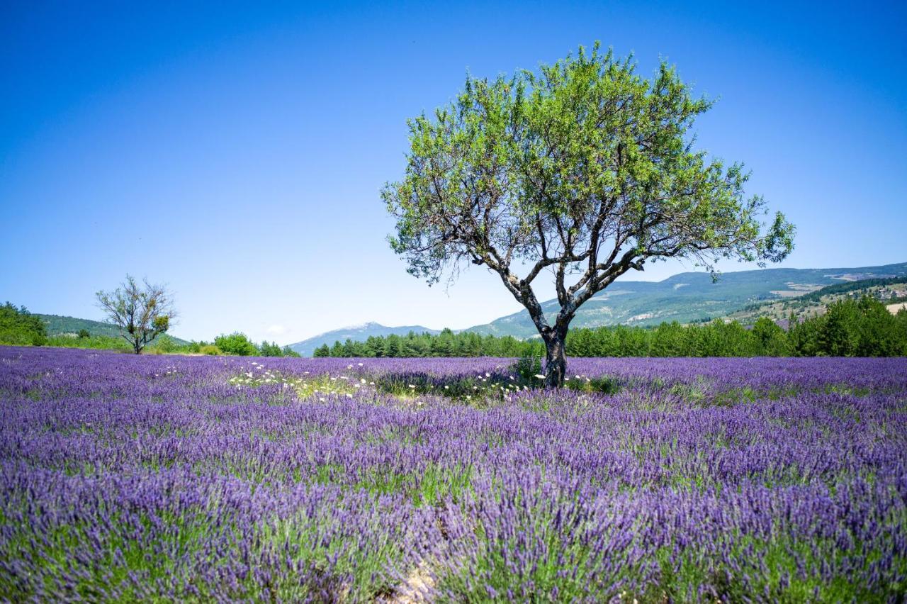 Le Claux Du Puits By Ateya Vacances Saint-Trinit Luaran gambar